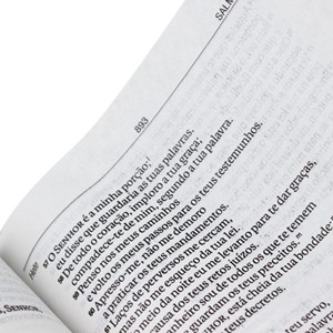 Bíblia Sagrada | Letra Gigante | NAA | Capa Pêssego Couro | c/ Índice