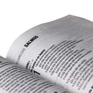 Bíblia Sagrada | Letra Gigante | NAA | Capa Semi-flexível Ilustrada | c/ Índice