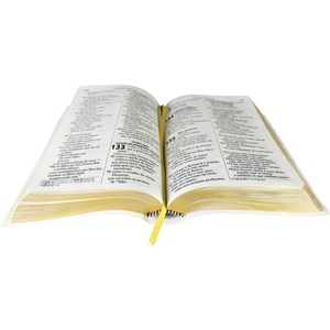Bíblia Sagrada | Letra Gigante | NTLH | Capa Branca Luxo