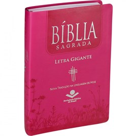 Bíblia Sagrada | Letra Gigante | NTLH | Capa Luxo PinK