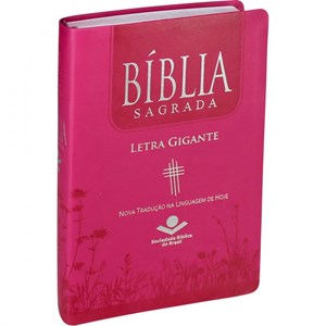 Bíblia Sagrada | Letra Gigante | NTLH | Capa Luxo PinK