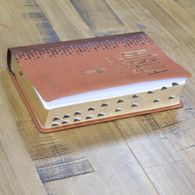 image_1ac23bab-d66c-46d0-812f-a191ab9edbe4