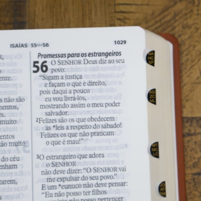 image_173095db-5d48-49b6-bf5b-fc8e20d5f936