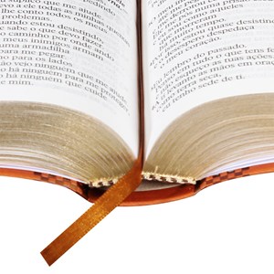 Bíblia Sagrada | Letra Gigante | NTLH | Capa Marrom Flexível | c/ Índice