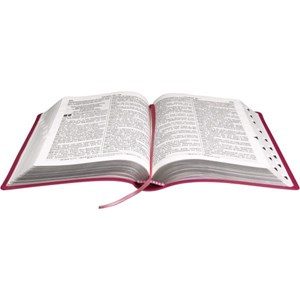 Bíblia Sagrada | Letra Gigante | NTLH | Capa Pink Luxo | c/ Índice