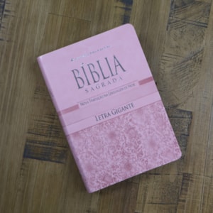 Segunda imagem do produto Bíblia Sagrada | Letra Gigante | NTLH | Capa Rosa Claro | Com Índice