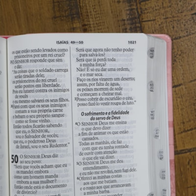 image_923173a3-c33f-4fc6-8a5c-c27fe5e8cc1b