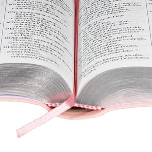 Bíblia Sagrada | Letra Gigante | NTLH | Capa Rosa Claro Luxo | c/ Índice