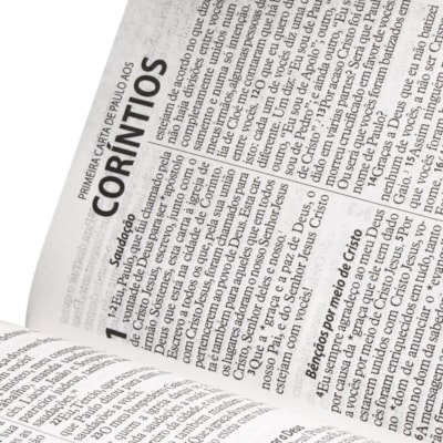 image_e8abcca9-2103-4683-a3d4-e05912ae3a37