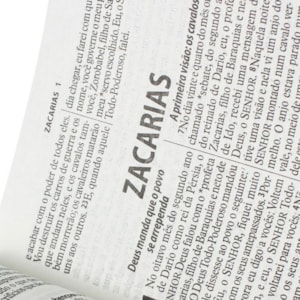 Segunda imagem do produto Bíblia Sagrada Letra Gigante | NTLH | Com Índice Pink