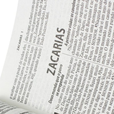 image_a1adf462-bd1d-4da6-a01f-08ecfb2f31b2