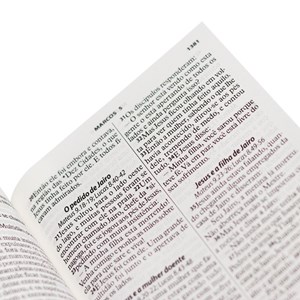Bíblia Sagrada Letra Gigante para Evangelismo
