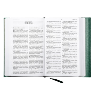 image_e384b382-eb1a-486a-a1cc-e13dfb71a6d7