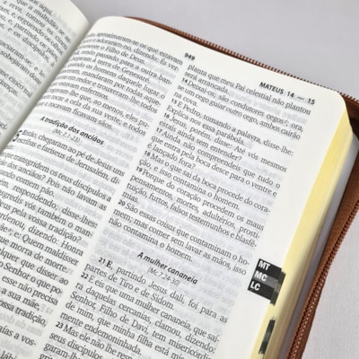 image_1a24d47e-224e-4c46-a478-ca4e156faf55