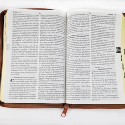 image_0f817868-6af9-4207-946b-42119a17abbf