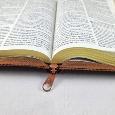 image_7b4261f2-9488-4919-a23b-dfc4fe1a7265