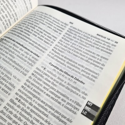 image_98728cf5-90e1-4f54-9758-ff0647137284