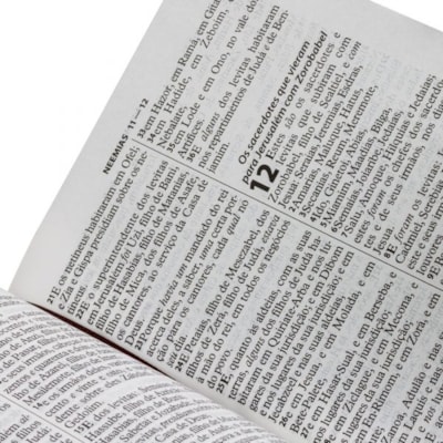 image_916b9c9a-ea2f-401f-873f-cd0ecc6830b7