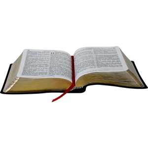 Bíblia Sagrada Letra Grande | ARC | Capa Preta