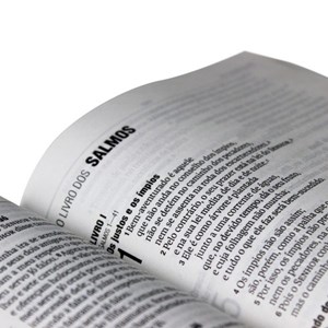 Bíblia Sagrada | Letra Grande | NAA | Capa Água Semi-flexível | c/ Índice