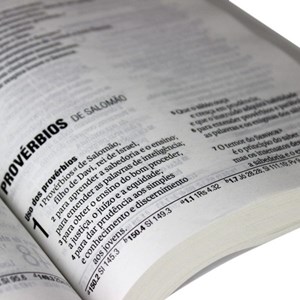 Bíblia Sagrada | Letra Grande | NAA | Capa Brochura