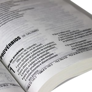 Bíblia Sagrada | Letra Grande | NAA | Capa Geometria Brochura