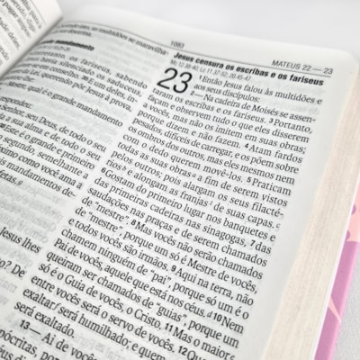 image_1fcbbcd4-ab0b-47c6-8dc2-9ca2a106b89d