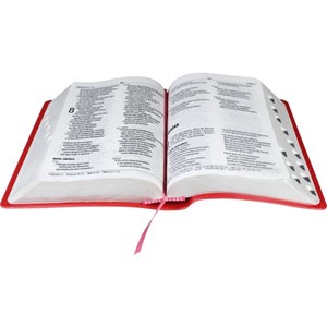 Bíblia Sagrada | Letra Grande | NAA | Capa Pêssego | c/ Índice