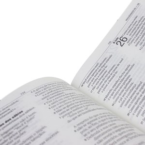Bíblia Sagrada | Letra Grande | NAA | Capa Preta