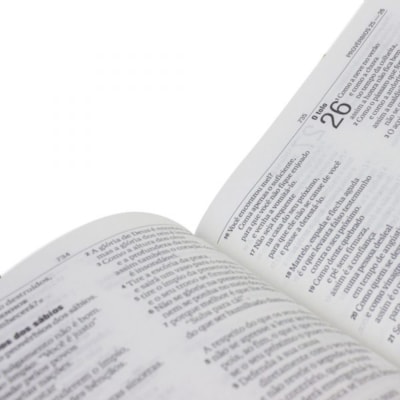 image_67552a48-e66b-466b-a95f-dcf07275b3a7