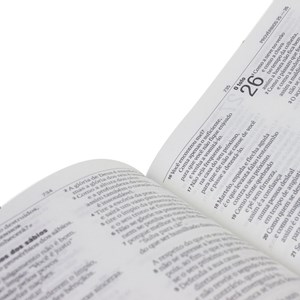 Bíblia Sagrada | Letra Grande | NAA | Capa Rosa | c/ Índice