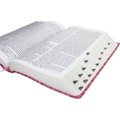 image_b99465ab-7f24-4f0f-9054-687dd14c2abc