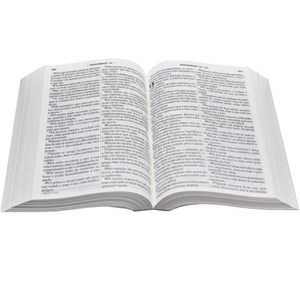 Bíblia Sagrada | Letra Grande | NTLH | Capa Ilustrada Popular