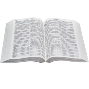 Segunda imagem do produto Bíblia Sagrada | Letra Grande | NTLH | Capa Ilustrada Popular