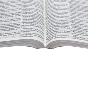 Bíblia Sagrada | Letra Grande | NTLH | Capa Ilustrada Popular