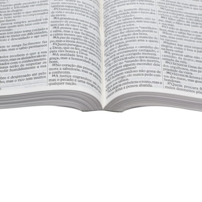 image_06f96040-5098-4a4d-ab74-f370a177cc2e