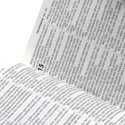 image_e64dc653-a168-4039-86c1-505ffdbe7c60