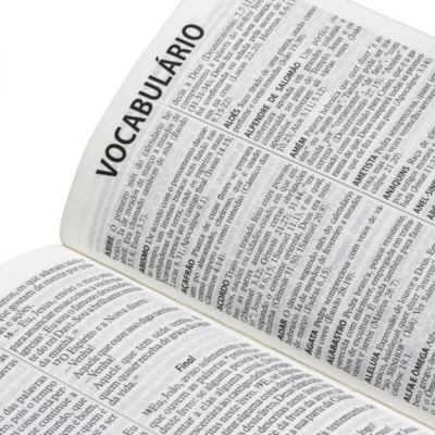 image_abd840d3-b57c-427e-8720-399b223c2c9c