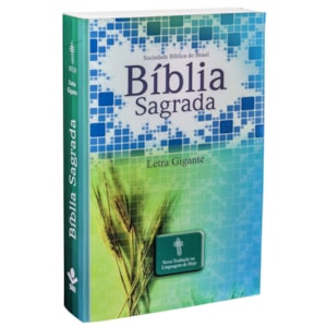 Bíblia Sagrada | Letra Grande | NTLH | Capa Ilustrada Popular