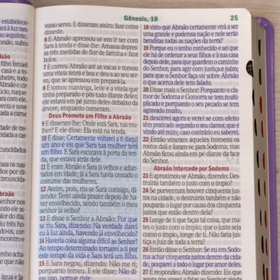 image_088bedac-f086-4d98-98d0-c08510c300b7