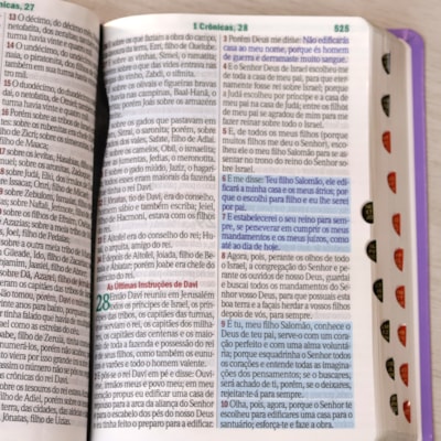 image_8f0db250-4f4b-447c-97a7-68aa7cbb05b8