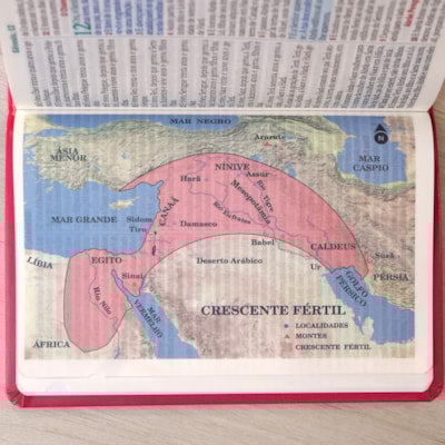 image_77631716-7e91-438e-bec3-58ddd3235906