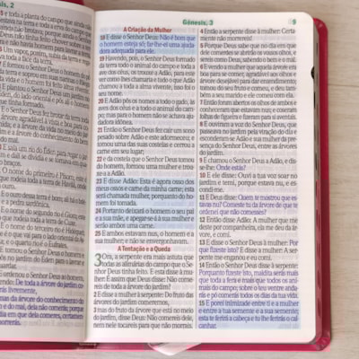 image_5056b513-ebcb-4248-a75a-f3476ee7772c