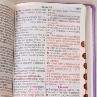 image_c3743393-13d2-4cbb-8fb3-efce79506401