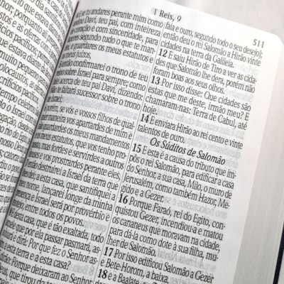 image_bc62c040-a3f6-4d7b-bab3-be71ea98dc9c