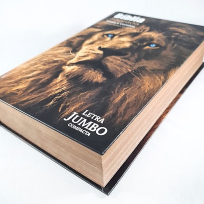 image_c3d04d12-0f65-4c4b-9015-385af4a22f40