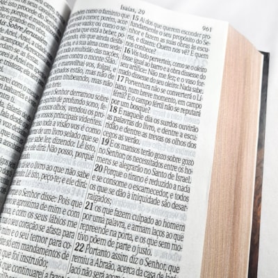 image_3a76d072-f6d6-490e-ad55-e064d5eaf8dd