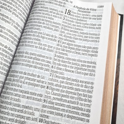 image_df6495ad-197a-460d-ad8b-c0e6aee6c483