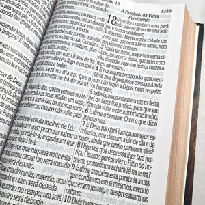 Bíblia Sagrada Letra Jumbo | ARC | Capa Dura Leão Vetor
