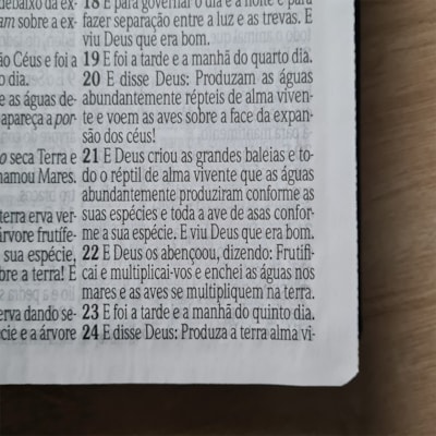 image_7d889c86-9fef-4ab6-a3b0-9cc34e3bcaa0